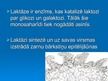 Prezentācija 'Laktozes intolerance', 3.