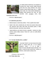 Referāts 'Populārākie tūrisma objekti Ogres rajonā', 6.