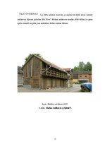 Referāts 'Bioenerģētika', 11.