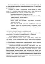 Referāts 'Korporatīvā sociālā atbildība', 17.