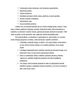 Referāts 'Korporatīvā sociālā atbildība', 21.