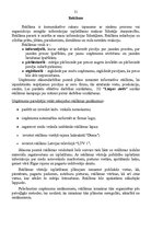 Biznesa plāns 'Uzņēmums "Liepas zieds"', 21.