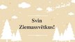 Prezentācija 'Kā gatavojas un gaida Ziemassvētkus, pirmsskolai', 14.