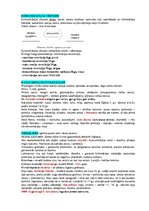 Konspekts 'Komunikācijas vēstures konspekts', 1.