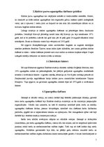 Referāts 'Mežu ugunsgērki Krievijā un to sekas', 5.