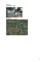 Referāts 'Mežu ugunsgērki Krievijā un to sekas', 13.