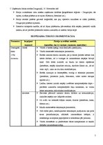 Biznesa plāns 'Tirgus segmentācija', 2.