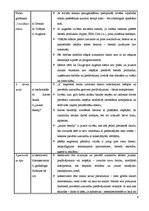 Biznesa plāns 'Tirgus segmentācija', 6.