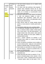 Biznesa plāns 'Tirgus segmentācija', 8.