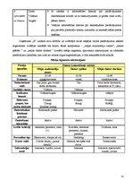 Biznesa plāns 'Tirgus segmentācija', 10.