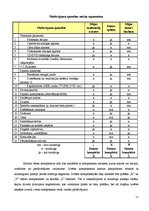 Biznesa plāns 'Tirgus segmentācija', 11.