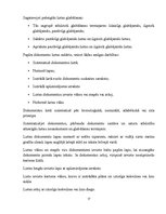 Paraugs 'Lietvedības instrukcija', 17.