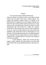 Paraugs 'Motivācijas vēstule', 1.