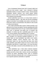 Referāts 'Apdrošināšana. Apdrošināšanas kompānijas Latvijā', 19.