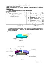 Paraugs 'Ģimenes budžeta struktūra', 3.