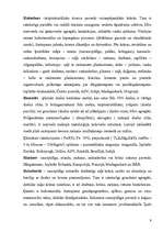 Referāts 'Juvelierakmeņi', 9.