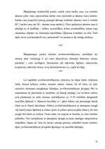 Referāts 'Juvelierakmeņi', 30.