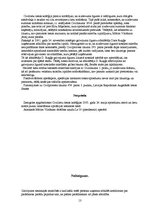 Referāts 'Galvenā parādnieka tiesības un pienākumi galvojuma līgumā', 13.