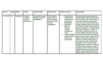 Konspekts 'Laukums. Taisnstūra laukuma aprēķināšana', 1.