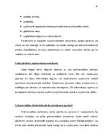 Diplomdarbs 'Saimnieciskās darbības un nodokļu uzskaite un plānošana lauku tūrisma uzņēmumos', 67.