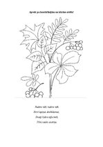 Prezentācija 'Rudens burtnīca pirmsskolas vecuma bērniem', 4.