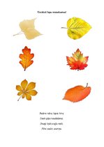 Prezentācija 'Rudens burtnīca pirmsskolas vecuma bērniem', 7.