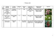 Konspekts 'Vīteņaugu ģints', 1.