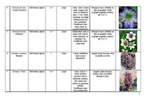 Konspekts 'Vīteņaugu ģints', 2.