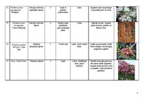 Konspekts 'Vīteņaugu ģints', 4.