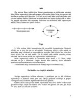 Referāts 'Organizācijas "X" pārvaldes kultūra', 5.