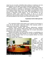 Referāts 'Organizācijas "X" pārvaldes kultūra', 7.