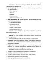 Referāts 'Stratēģiskās plānošanas nozīme uzņēmumā', 5.