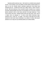 Konspekts 'B.Smilktiņa "Dzīves pilnskanības apliecinājums R.Blaumaņa novelistikā"', 6.