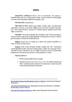 Konspekts 'Senās kultūras', 2.