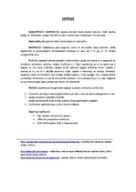 Konspekts 'Senās kultūras', 5.