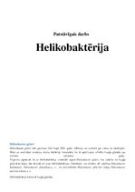Referāts 'Helikobaktērija', 1.