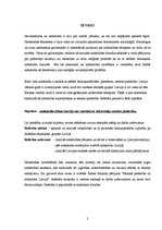 Referāts 'Etniskā piederība un nabadzība Latvijā', 3.