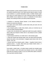 Referāts 'Etniskā piederība un nabadzība Latvijā', 11.