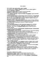 Konspekts 'Nervu sistēma', 1.