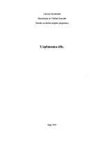 Referāts 'Uzņēmuma tēls', 1.