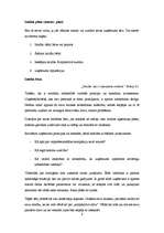 Referāts 'Uzņēmuma tēls', 4.