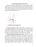Konspekts 'Fizioterapija pēc potītes locītavas endoprotezēšanas', 6.