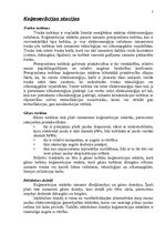 Referāts 'Siltumapgāde. Koģenerācijas teorētiskie un praktiskie aspekti', 7.