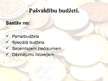 Prezentācija 'Budžets', 13.