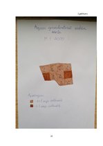 Prakses atskaite 'Augsnes zinātnes prakses atskaite', 25.