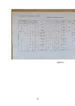 Prakses atskaite 'Augsnes zinātnes prakses atskaite', 30.