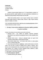 Referāts 'Dorotejas Oremas teorijas pielietojums pašaprūpes izglītībā pacientiem ar īpašām', 7.