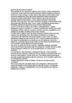 Eseja 'Vides piesārņošana', 2.