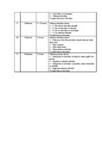 Paraugs 'Speciāli iesildošie vingrinājumi', 2.