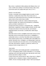 Referāts 'Kultūras teorijas', 3.
